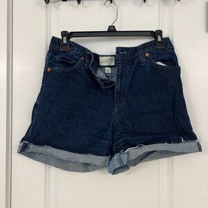Jean Denim Women's Shorts